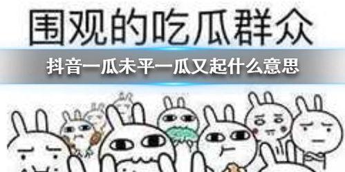 抖音魏县吃瓜