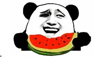 吃瓜的恶搞,笑料百出，欢乐无限