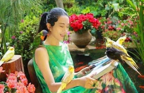 吃瓜仙境,揭秘娱乐圈背后的秘密与奇闻