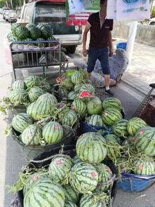 莱州南关吃瓜事件,一场引发热议的街头冲突