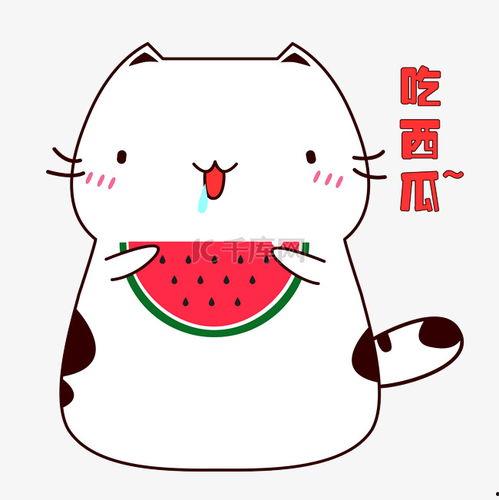 吃瓜表情包衣服图片